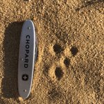 How cool is this? Found these tracks—left behind by a bounding Fat-tailed Dunnart—on a sand-pad on our block this morning.
#WildOz 