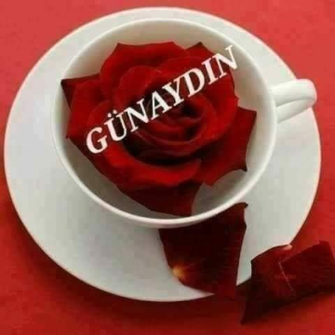 TC_TOPRAK_'s tweet photo. İnsan daima başına gelen #felaketleri sayar, #sevinçleri değil..
  🌿
Eğer saysaydı, #dünyanın kendisine #yeterince #mutluluk sunmuş olduğunu anlardı.
~🌿
Günaydın 
Yaşamdan beklediginiz  ne varsa olması dileğiyle mutlu huzurlu günler dilerim. 🎋🌼🌺🌾🌹🙏
@NevvalS @cuneytalphan https://t.co/bo2J4hFsGf