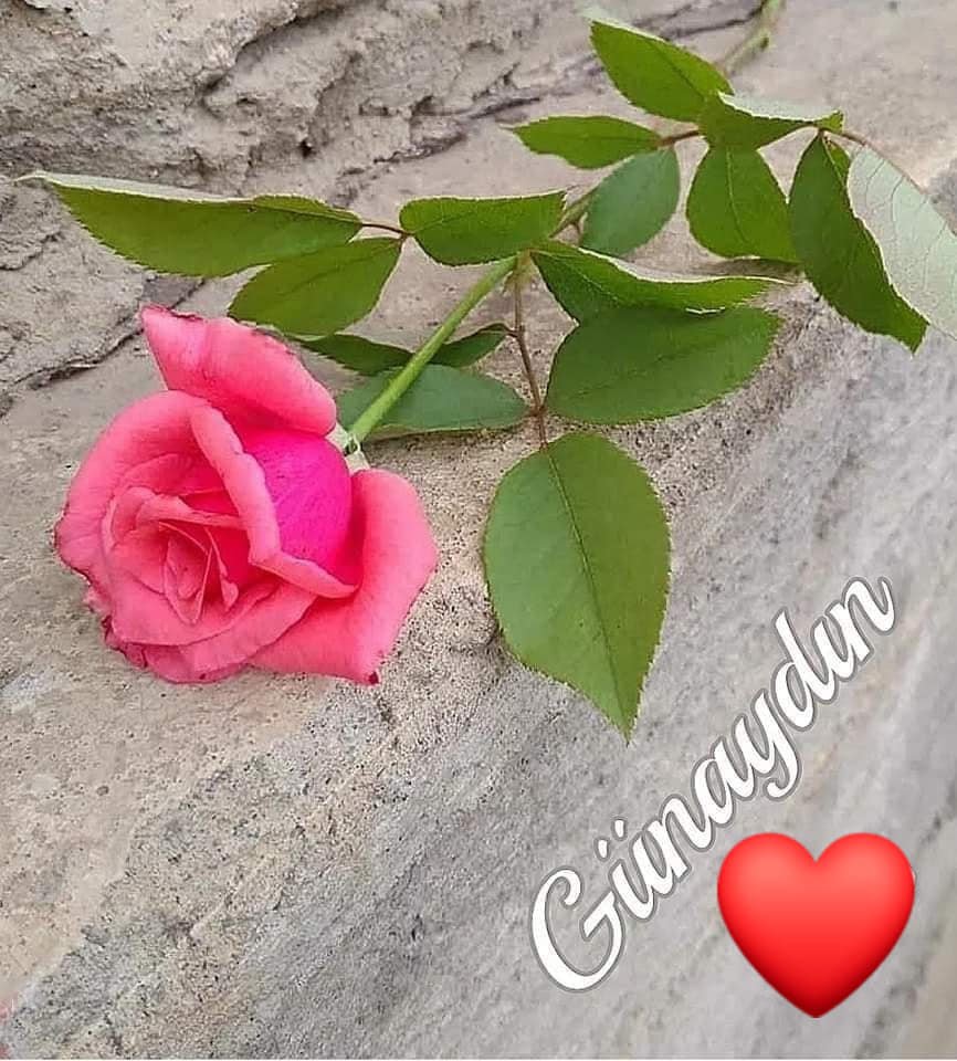 TC_TOPRAK_'s tweet photo. İnsan daima başına gelen #felaketleri sayar, #sevinçleri değil..
  🌿
Eğer saysaydı, #dünyanın kendisine #yeterince #mutluluk sunmuş olduğunu anlardı.
~🌿
Günaydın 
Yaşamdan beklediginiz  ne varsa olması dileğiyle mutlu huzurlu günler dilerim. 🎋🌼🌺🌾🌹🙏
@NevvalS @cuneytalphan https://t.co/bo2J4hFsGf