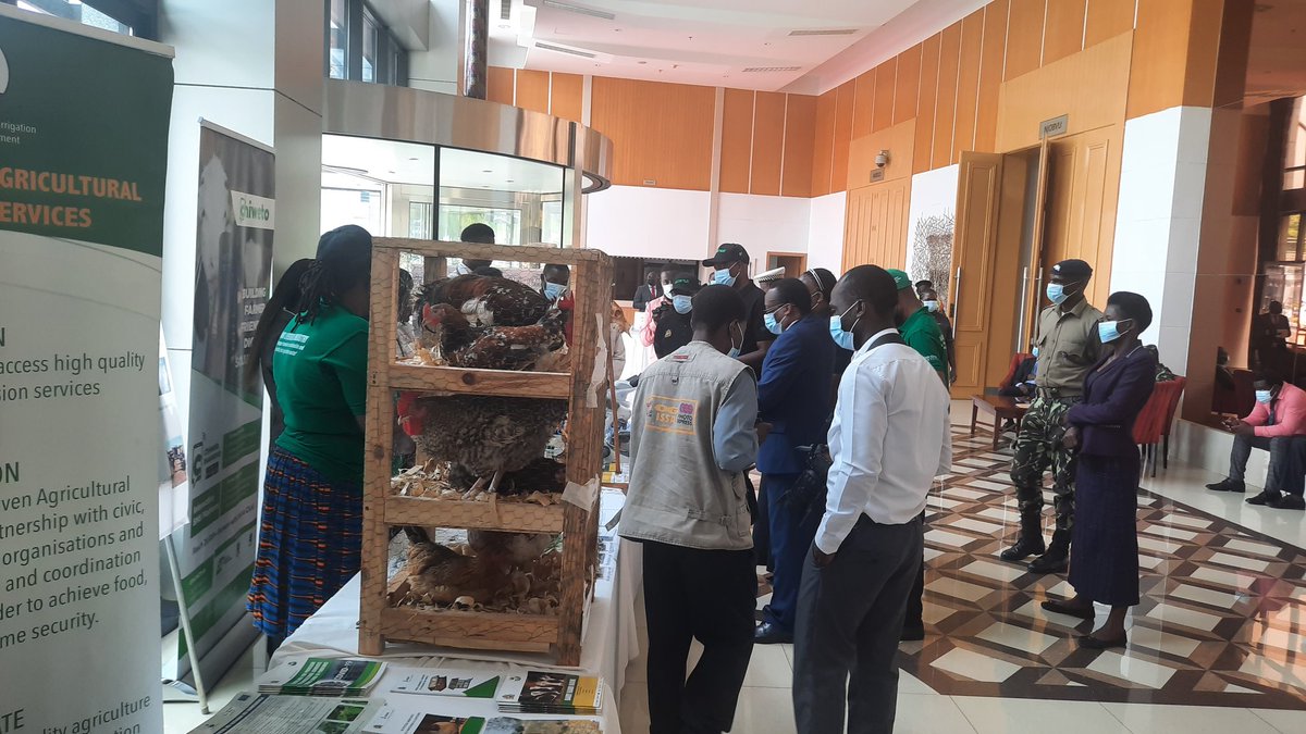The Agriculture Minister Lowe and his Deputy have arrived at BICC to launch a 5 year National Livestock Development Policy aimed at recapitalising and developing this sector in order to accelerate economic growth.
<a href="/MwapataI/">MwAPATA Institute</a>
<a href="/LAZARUSCHAKWERA/">Dr. Lazarus Chakwera</a> 
<a href="/SKChilima/">Dr Saulos Chilima</a> 
<a href="/AquaFish_Luanar/">AquaFish ACE LUANAR</a> 
<a href="/AGRA/">agra</a>