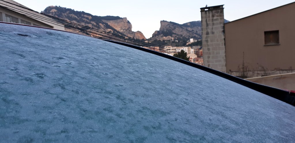 #bondia #alcoi #faunfretorroquegelaelpixorro #barrancdelcint