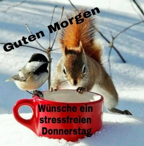 Schönen donnerstag abend lustig