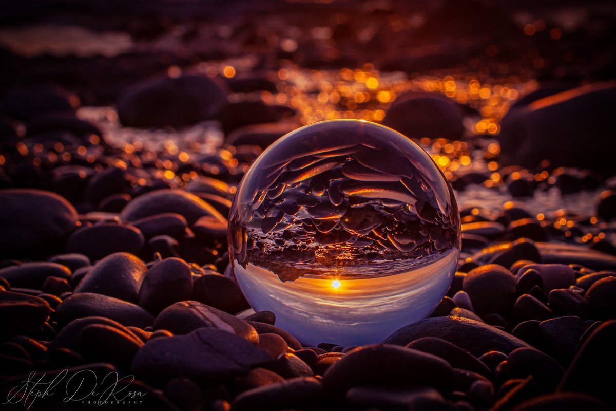 Steph De Rosa tweet media