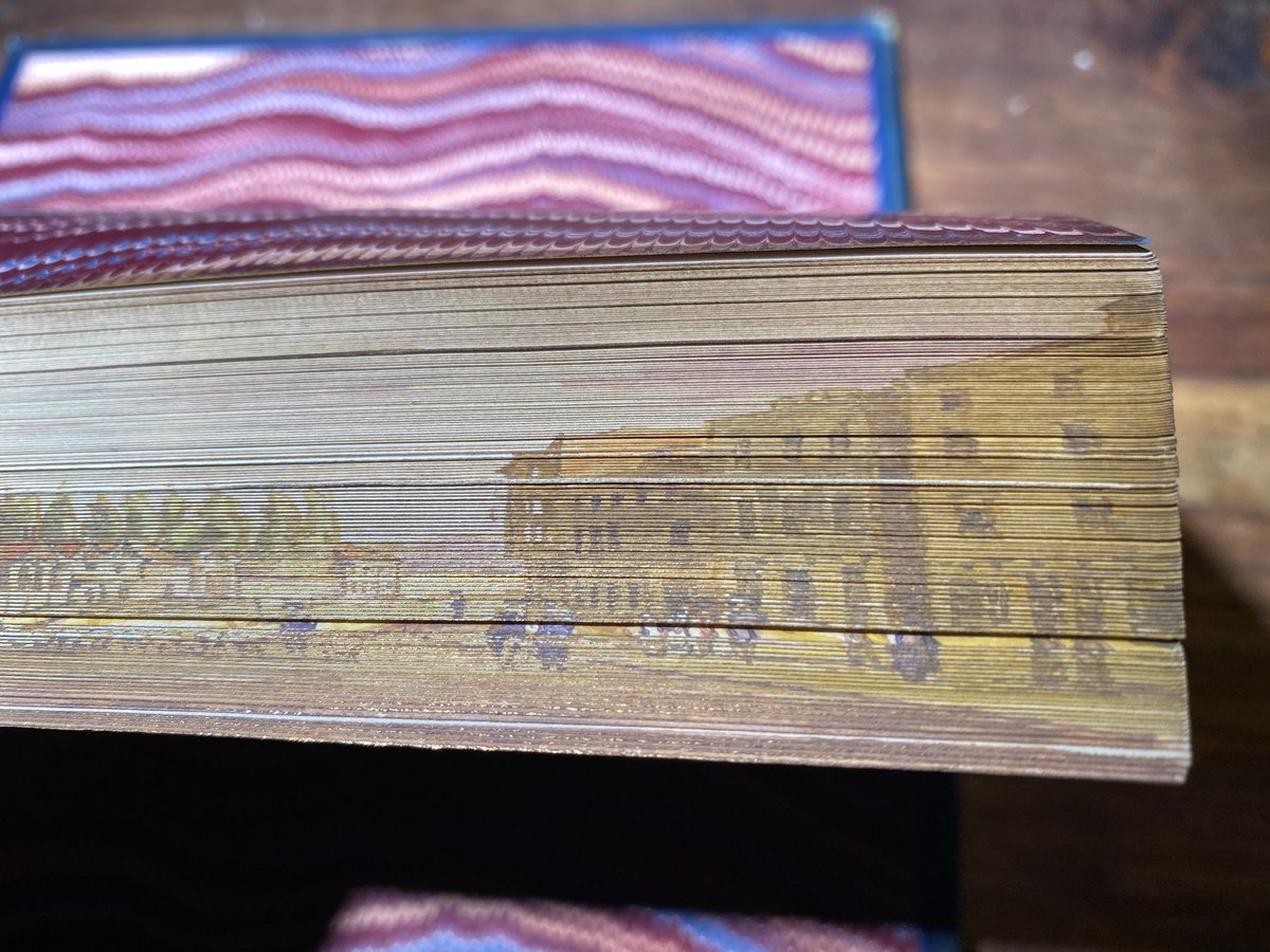 @Miranda19c @EHChalus @TyntesfieldNT Love a foreedge painting. This is in a book of mine, part of a Ruskin ‘Works’.