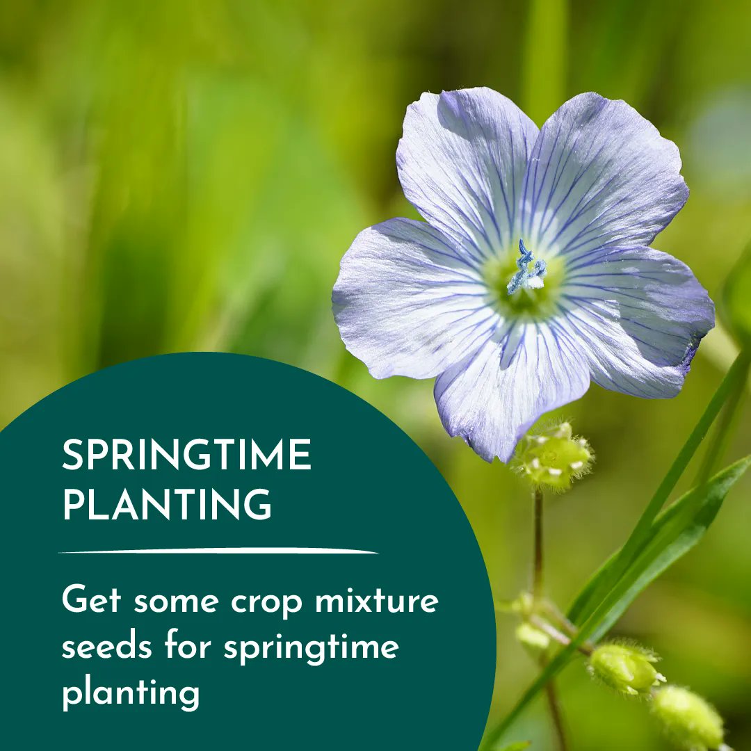 TheRHET's tweet image. Partnering with @JamesHuttonInst @BuglifeScotland we are excited to launch a citizen science project. 🐛 🌿 

Register your interest today for getting involved in springtime planting: mailchi.mp/rhet/crop-mixt…