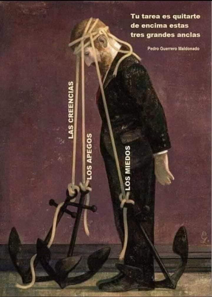 Frederic Emam-Zade tweet media