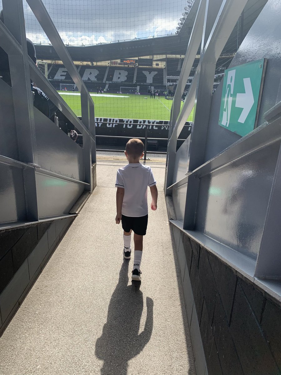 Martin Dance tweet media