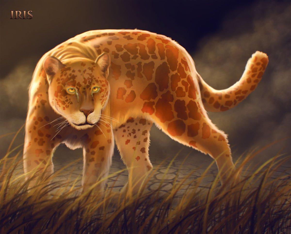 LScottClark's tweet photo. Iris - the golden panther from Path of the Phoenix. Amazing piece of artwork. #fantasy #yafantasybooks #Iris #pathofthephoenix #golden #art #charaterart #writing #WritingCommunity 

https://t.co/biGEiWQhZt https://t.co/5PjSpRCf2B