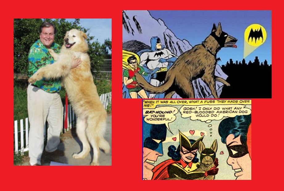 The #Batman🦇-<a href="/GentleGiantsRsQ/">Burt Ward&Tracy Ward</a> #DogRescue-Burt Ward (famous as #Robin in #Batman66) is 🐶#Dog "Canine Crusader"&amp;🐱"#Cat Crusader"- founder of #GentleGiants dog rescue - "15,500 #dogs lived in our house over the past 27 years."
celebritynetworth.com/articles/enter…
closerweekly.com/posts/who-is-b…