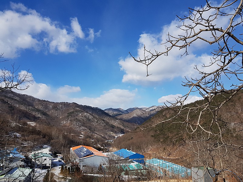 파란 하늘이 깨끗하고 아름다운
겨울 풍경!~~~
