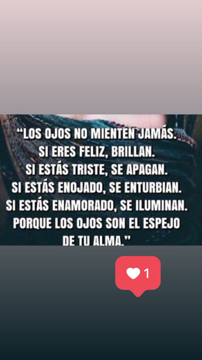 Monica  Pereyra (@monicapereyramp) on Twitter photo 