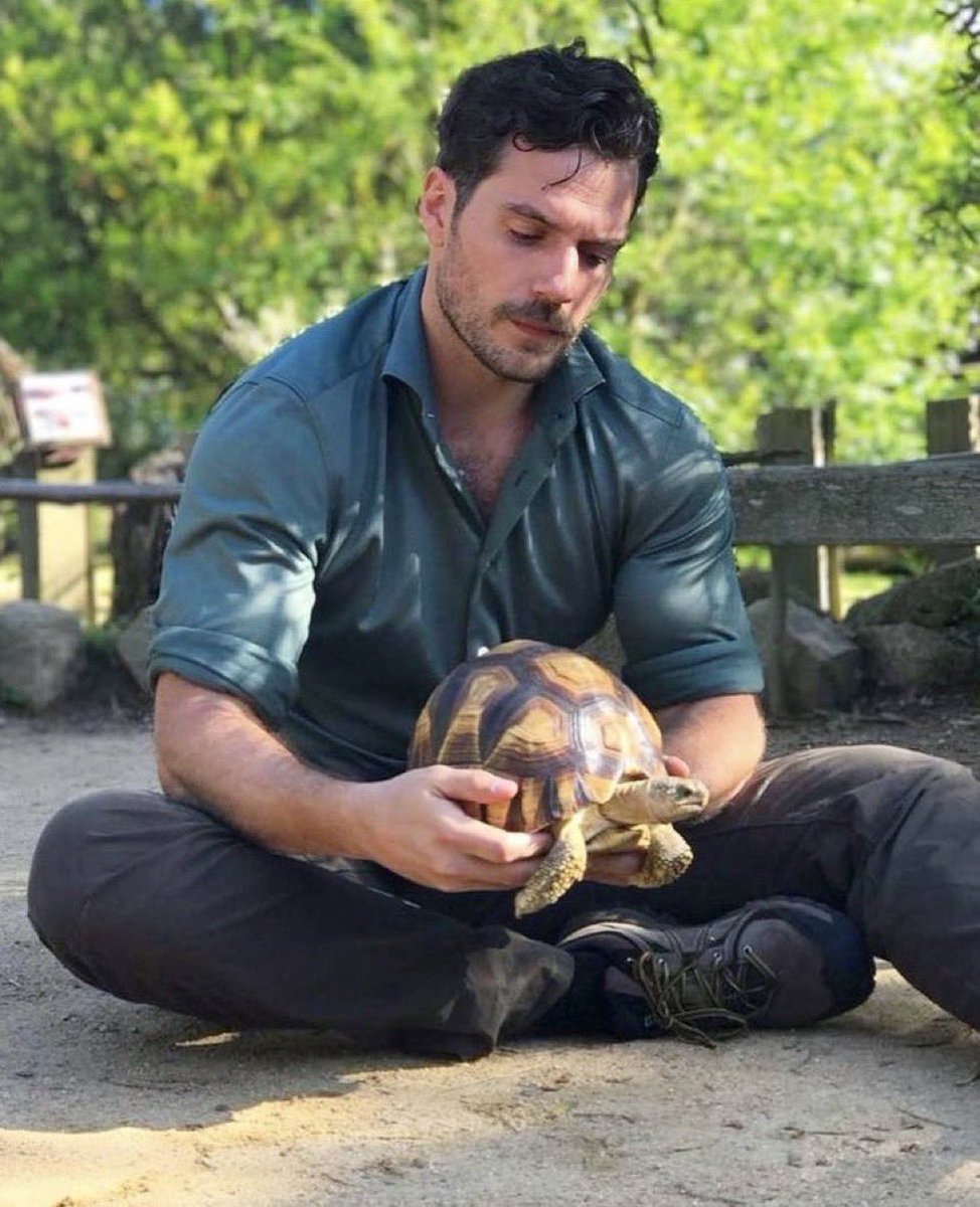 EspressoDogDad's tweet photo. currently wishing i was a turtle https://t.co/ihDhgCH9RU