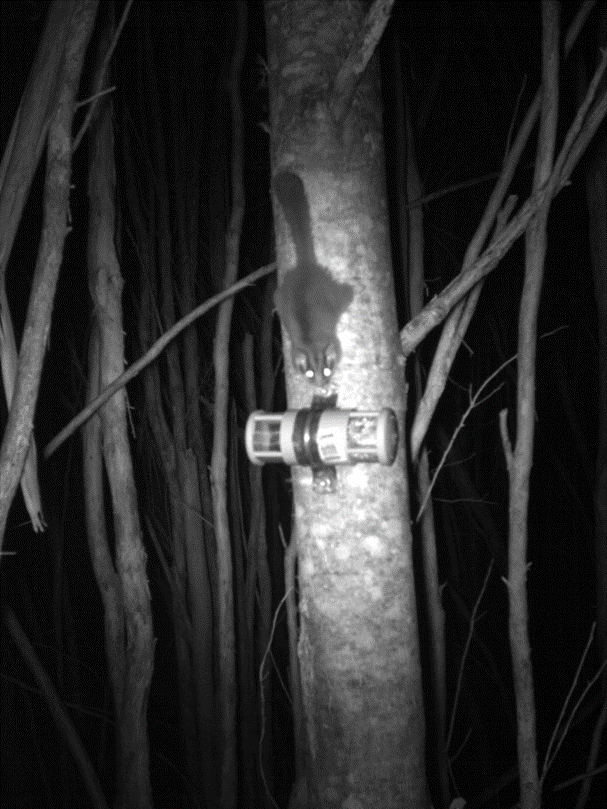 Pia Lentini tweet media