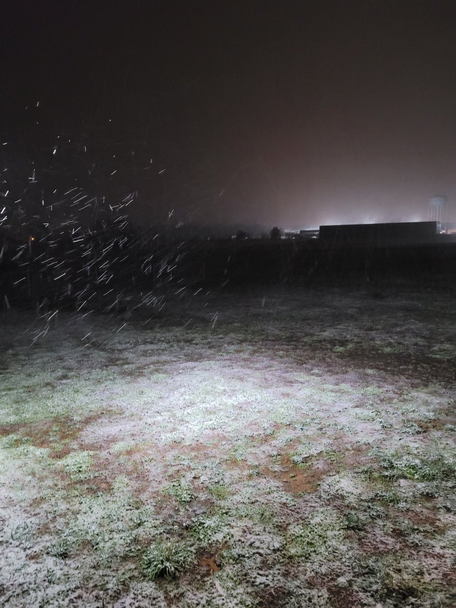 Davelynn Averitt tweet media