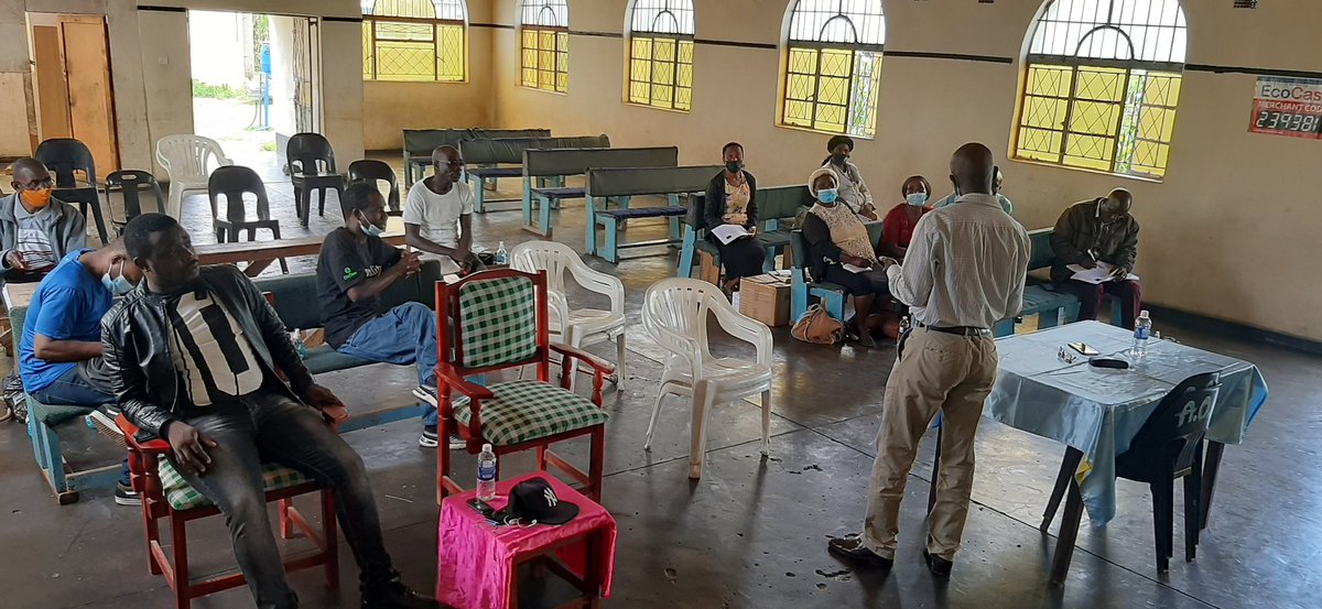 Zimbabwe Divine Destiny tweet media