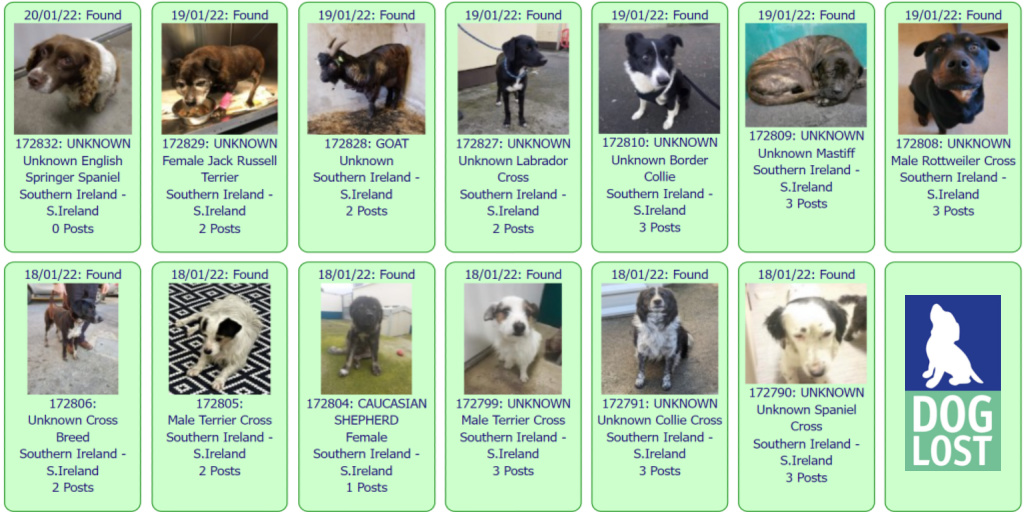 Can You Take Dogs From Uk To Ireland