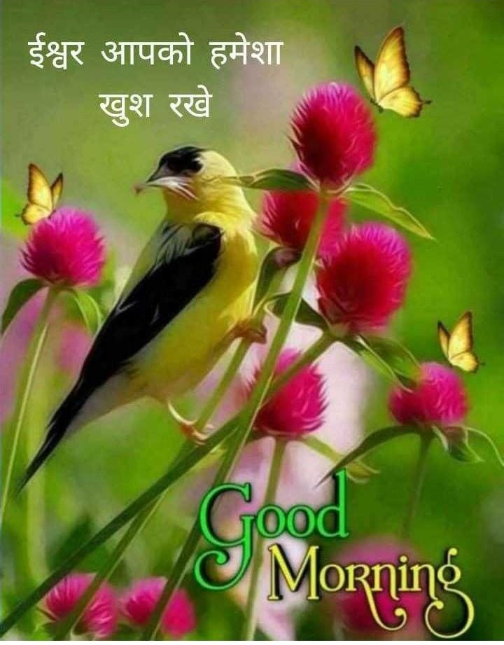 Jus  company ka name hi Divy Jyoti