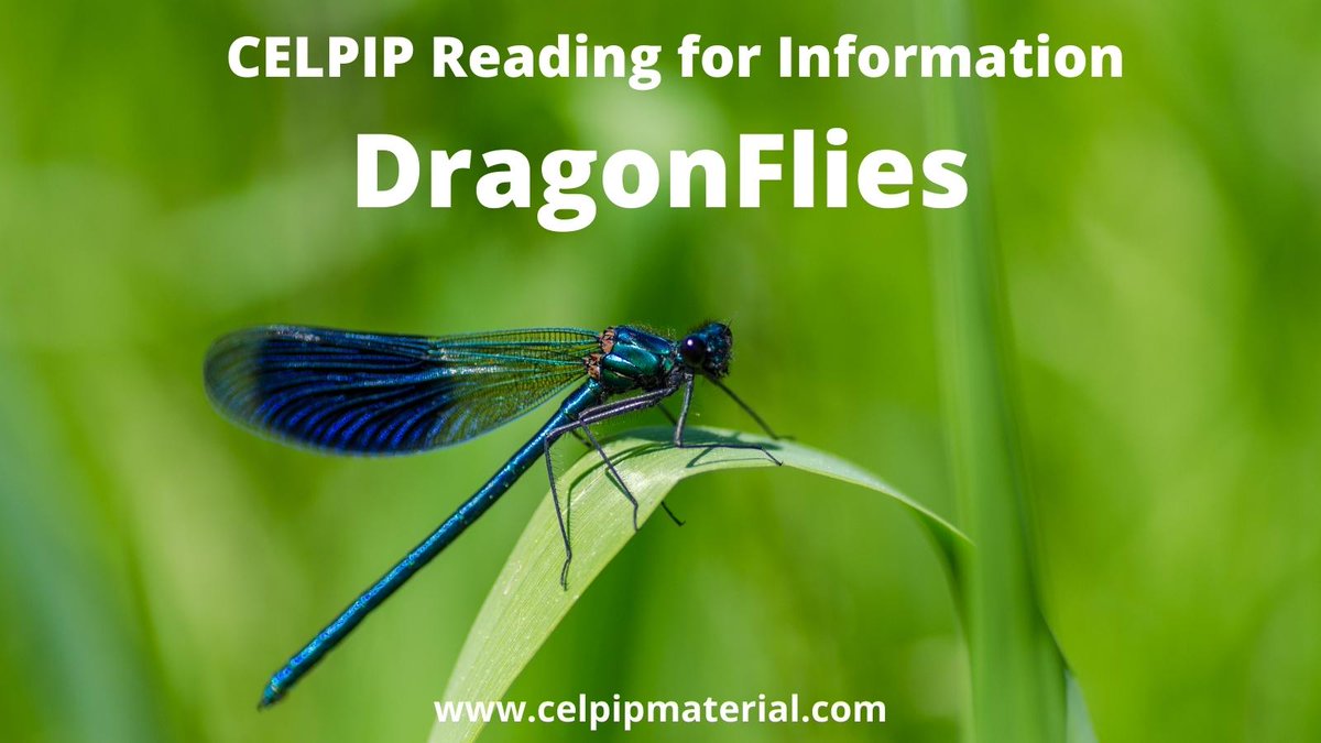 celpipmaterial's tweet image. CELPIP Reading for Information Dragonflies Module has 9 questions similar to the kinds of questions that you can expect in an actual exam.

celpipmaterial.com/celpip-reading…

#celpip #celpipreading #celpipmaterial #celpipexam