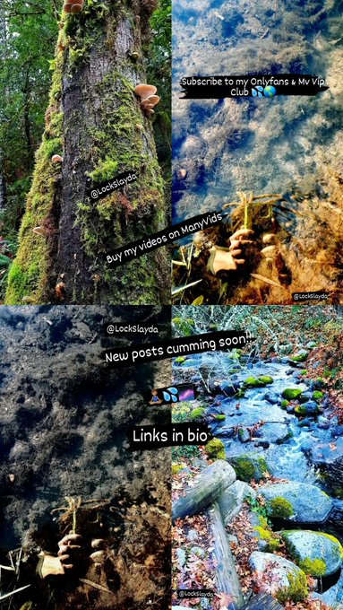 Hey Sexyy peoplee! 🙌🏽😎💦   New Posts Cumming Soon 🙌🏽💦🌎🌌🧘🏽&zwj;♂️   If you like rad Photography, 📷 Mycology<a href="/tag/love"class="tags"><span>#love</span></a><a href="/tag/fitnessmodel"class="tags"><span>#fitnessmodel</span></a><a href="/tag/model"class="tags"><span>#model</span></a><a href="/tag/fitness"class="tags"><span>#fitness</span></a><a href="/tag/bdsm"class="tags"><span>#bdsm</span></a><a href="/tag/follow"class="tags"><span>#follow</span></a>