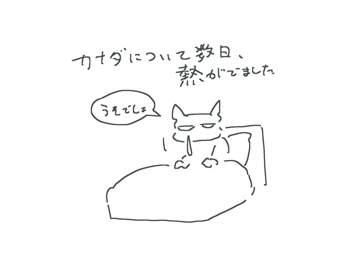 咳はないです 