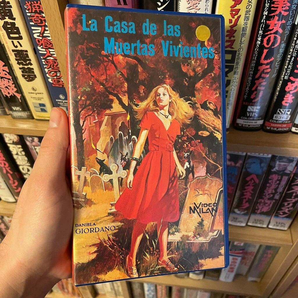 CheeseGore's tweet photo. An Open Tomb… An Empty Coffin (1972) 💀 #lacasadelasmuertasvivientes #anopentombanemptycoffin #anopentombanemptycasket #danielagiordano #palvhs #horror #giallo #giallovhs #horrorvhs #alfonsobalcazar #alfonsobalcázar https://t.co/gXrbZk1t7E https://t.co/1W9IGoMZ5W