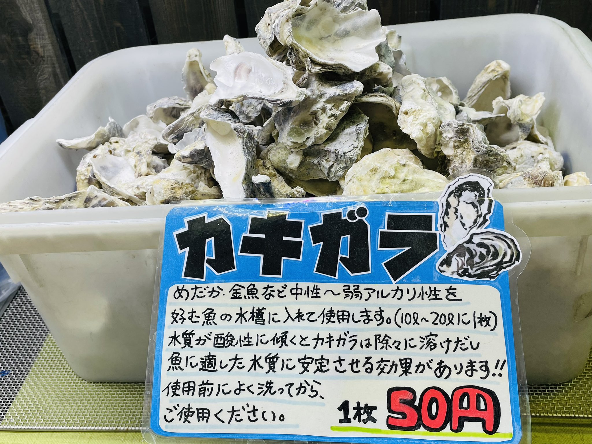 Oーoー オーオー 特選国産 牡蠣殻 小粒 400cc 金魚 メダカ 水質浄化 水槽 4 8mm 国内産 牡蠣殻殻 アクアリウム 金魚 メダカ 錦鯉 熱帯魚 越冬対策 Chateaujoliet Com