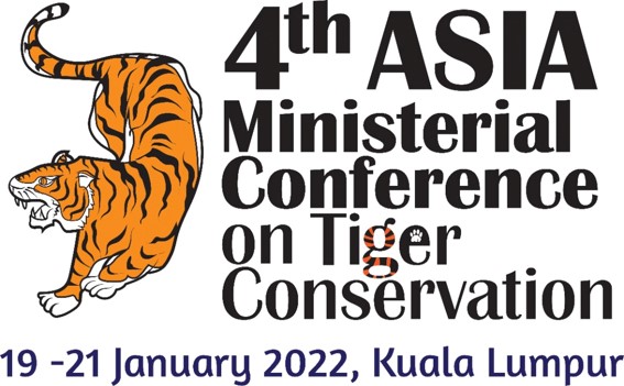 #Tiger #Conference presentations from yesterday on exciting range expansion in #Kazakhstan #Cambodia + more available here facebook.com/perhilitanoffi…
@wwfRU @WildlifeRescue @WWF_tigers on future opportunities
Next session starts now on Protection @EIA_News @TheWCS @PantheraCats