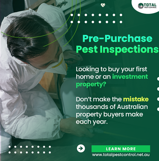 total_pest's tweet photo. To Get The Best Of Pest Control Services In Bendigo https://t.co/lEM7nx4m9t #PestControlBendigo #PrePurchasePestInspections #TotalPestControlShepparton #PestControlShepparton #TermiteControlBendigo #RodentsPestManagementShepparton #PestManagementBendigo #PestControlServiceBendigo https://t.co/DJb2SSzGjs