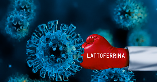 viaggrego's tweet photo. #Evitare il #Covid con una #Proteina #Naturale? : la #Lattoferrina...Possibilmente con aggiunta di #Colostro potrebbe essere la #chiave di svolta (dimostrata) https://t.co/d4gIWR27ZE https://t.co/xUMj2BaSDL