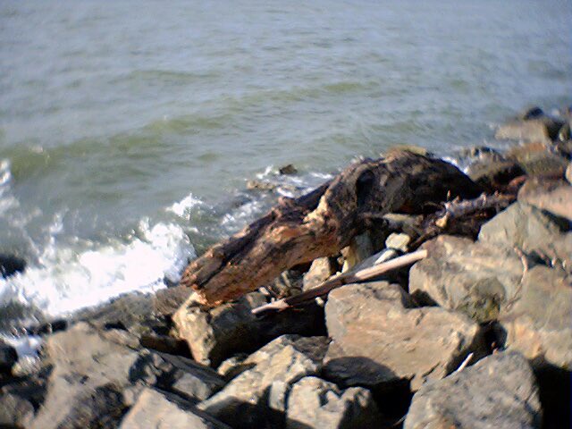 Dmitry Nastich-Usov tweet media