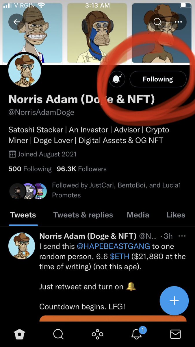 ApeZaun's tweet photo. @NorrisAdamDoge @HAPEBEASTGANG Life changing opportunity https://t.co/u7oxhXVIKg