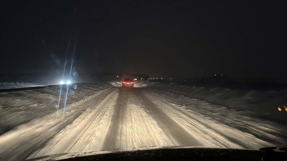 Полли tweet media