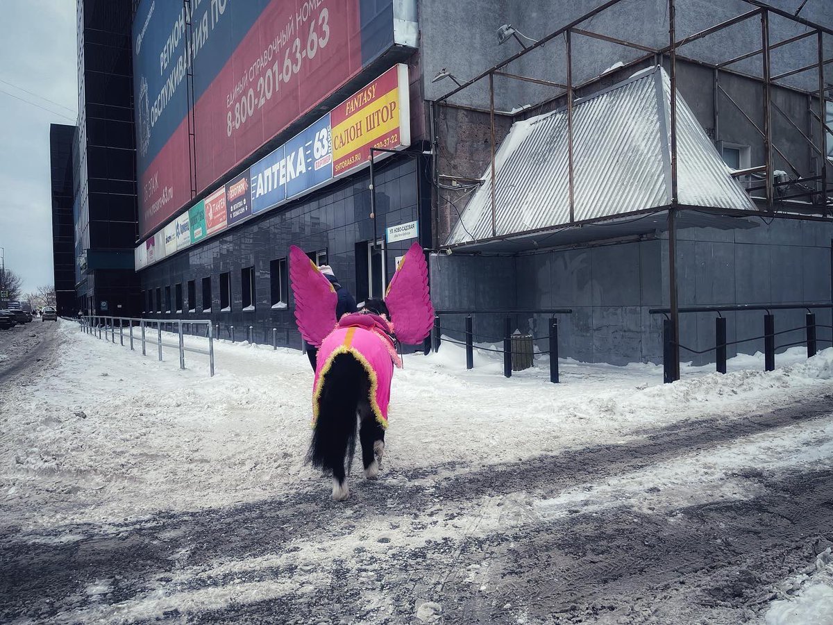 Вроде радугой не какает  #самара #эстетикаебеней #уютныеебеня
 #streetphotography #streetphotographer #streetphotorussia #streetphoto_russia