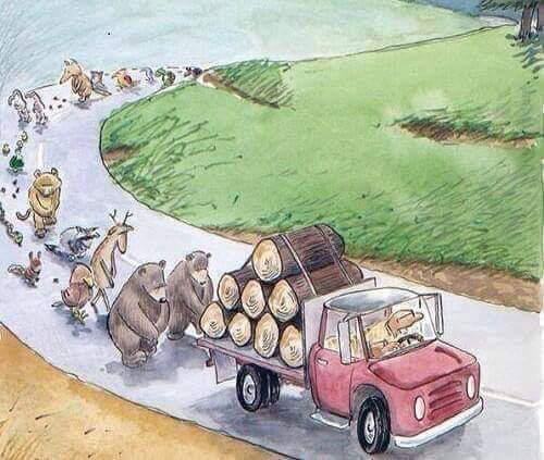 manlistic's tweet photo. A kind reminder that deforestation is not 'just' about trees...
It has a devastating impact on the environment, such as climate change, desertification, soil erosion, flooding and increased GHG. This compromises the availability of food, shelter and breeding habitat. https://t.co/E6TGharYJw