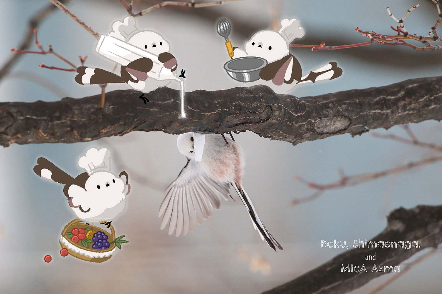 ぼく、シマエナガ。 on X: 