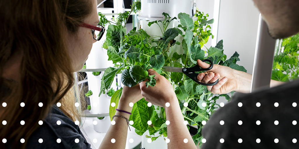 AgCAREERSTART's tweet photo. Get skills you can’t learn from a textbook. Challenge yourself and learn life-long skills on an #Australian #farming gap-year. ⏰Places are filling up fast ⏰ Sign up at https://t.co/WmS0qI3iXm
 #futurefarmers #AgCAREERSTART #AustrailanAgriculture https://t.co/LGMFWhqEzV