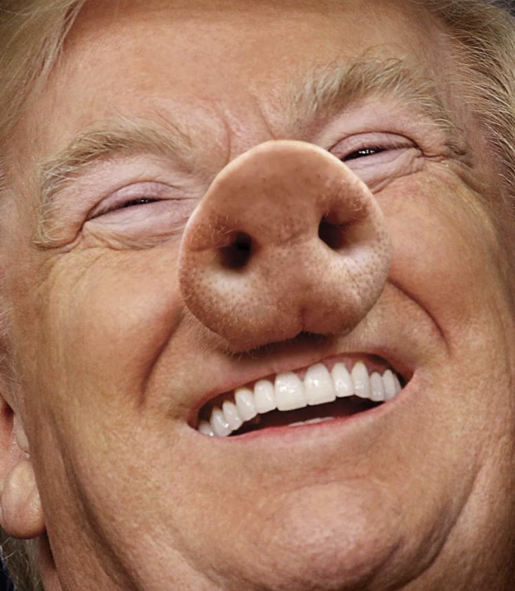 FeistyPK2's tweet image. What happened in the Senate was a direct result of the the nasty fucking 🍊 pig sowing doubt about election fraud. Will the shit stain ever wash out? #DemocracyInPeril