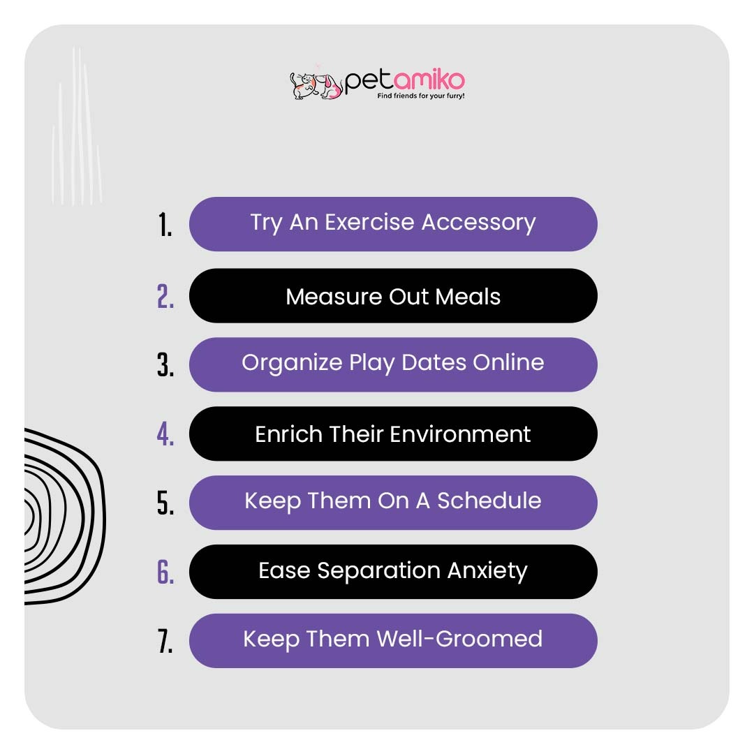 petamiko_app's tweet photo. Pet parents tend to provide a safe, loving and comfortable environment for their pets from the very beginning.

Here are some tips which can help you be a better pet parent.

#dogs #cats #pets #petamiko #petcare #petparents #india https://t.co/tAuK5tlbJI