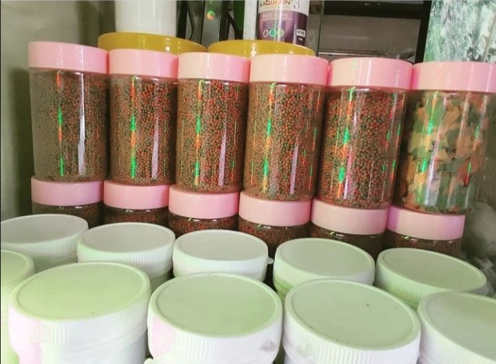 AquabestS's tweet photo. The Giver of Pellets and Flakes🐟
Fish Food available for All your Fish
Buy Quality Food and Aquarium Products for All your Fish &amp; Aquarium needs
CALL 0706539490

#WitnessKiller|Alex Kosgey|Miss Nandi|Koome|Karen Nyamu|bosibori|Sifuna|Trio Mio|Wanjigi|#BBIAppeal|Isaac Aluochier https://t.co/mQwY5a1EAt