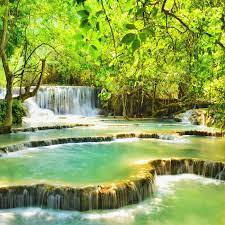 vanbinh0015's tweet photo. my gradren https://t.co/mfJ5LYXhek