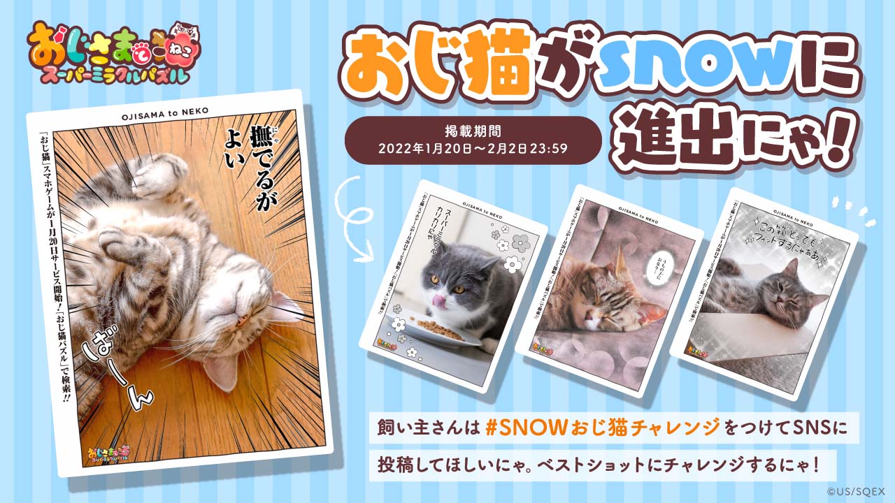 おじさまと猫 スーパーミラクルパズル 公式 おじ猫パズル サービス開始記念にゃ カメラアプリsnowでおじ猫コラボのフレームが出たよ 愛猫だけじゃなくてわんちゃんや人でも楽しめる タップでフレームを変えてお気に入りを見つけてね