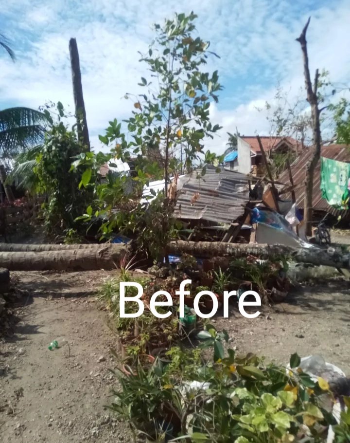 harleycondes's tweet photo. THANK YOU https://t.co/3fTLmokj2e family for the generosity you extend to my Grandfather.He is very happy to see his house rebuilt after typhoon &amp;Thank you Alpha Kappa Rho,Bateria Chapter @Axie_Queen @RareAxies @HeyStell4r @LeveragedTrades 
@bestaxies @all https://t.co/3fTLmokj2e https://t.co/10dTZYs3NI