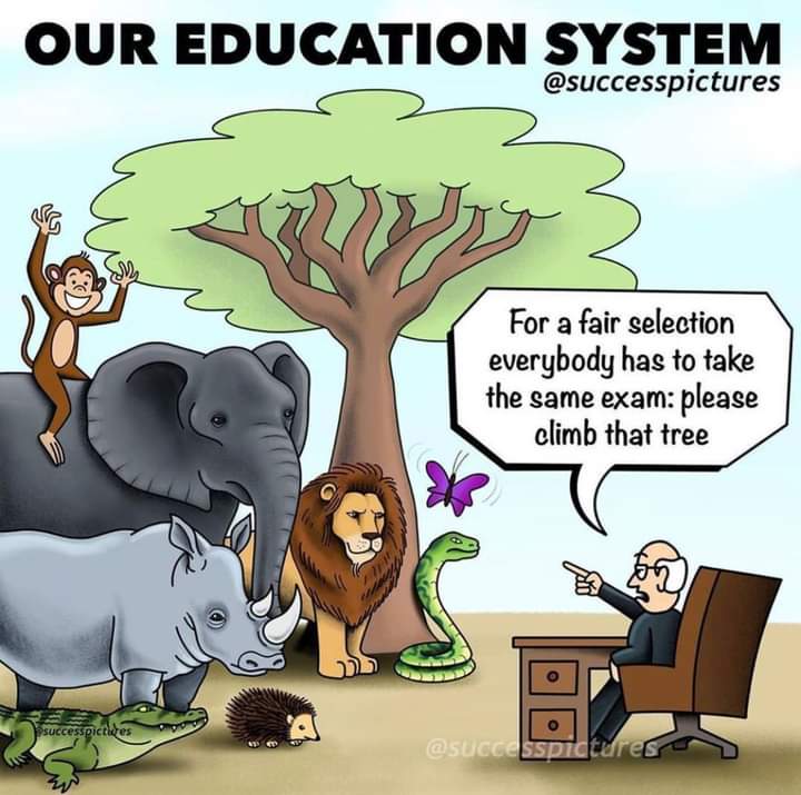 #camerooneducation #EndMobileMoneyTax #AfricaTweetChat