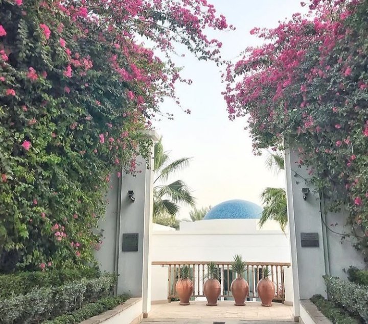 #صباح_الخير
اللهم في هذا الصباح سخر لنا من حظوظ الدنيا ماتعلم أنه خير لنا.. اللهم قلوبنا بين يديك فارزقها الراحة وازرع لنا في كل خطوة سعادة .