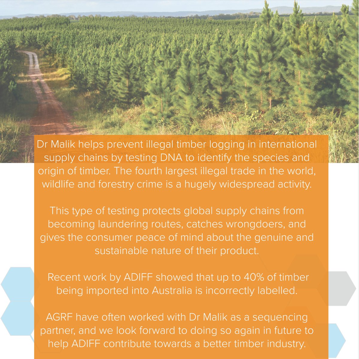 AGRF_genomics's tweet photo. #didyouknow that wildlife and forestry crime is the fourth largest illegal trade in the world? Or that 40% of the timber imported into Aus is mislabelled? ADIFF are tackling that - by DNA testing timber 🌳 #timberlogging #dnatesting #agrfresearchpartner #genomics #sequencing https://t.co/Kzvm3XfJeC