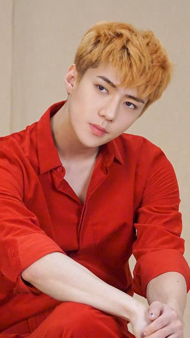 🌪 sehun🌪️ tweet media