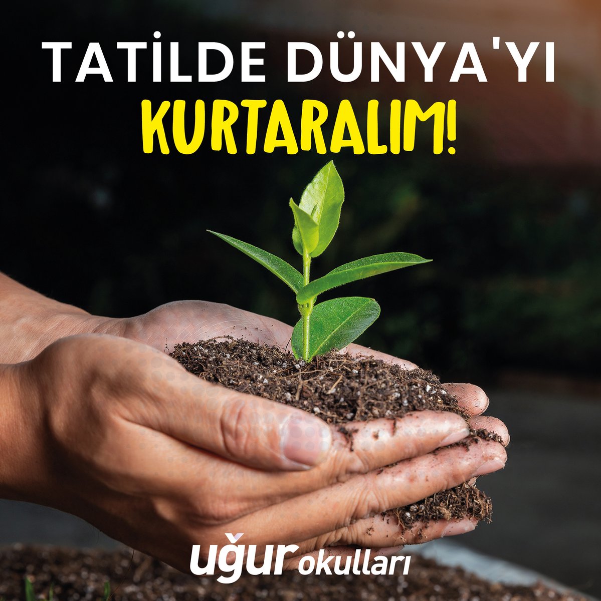 Yarıyıl tatilinde dünyaya kurtarıyoruz!  🌱

Tatil sürecini doğayla buluşma ve öz değerlendirme için bir fırsat olarak gören Uğurlu öğrencilerimiz ve aileleri için önerilere yer verdiğimiz blog yazımızı incelemeyi unutmayın: ugurokullari.k12.tr/blog/detay/tat…

#UğurluOlmak