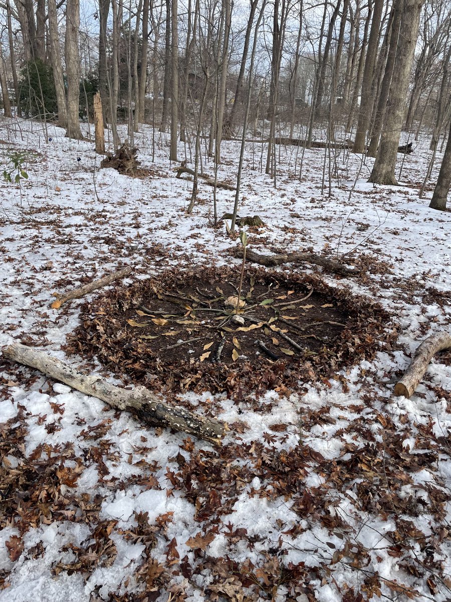 kerry_barba's tweet photo. “It.. bothers me that human supremacists believe that only humans create art. What about lightning? Thunder?” -Derrick Jensen, The Myth of Human Supremacy. Today we created forest mandalas, taking time to appreciate the art inherent in nature, and create our own. #COR4240 #ElonEd https://t.co/eBTn3DsWG6