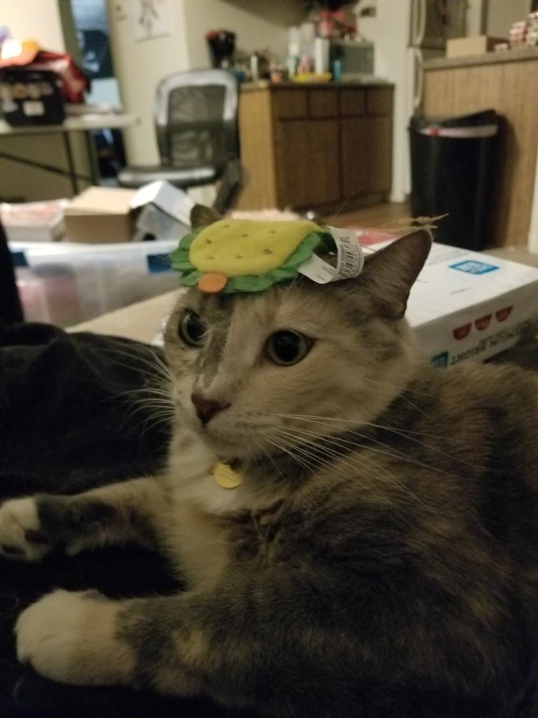 SunflowerFlan tweet media