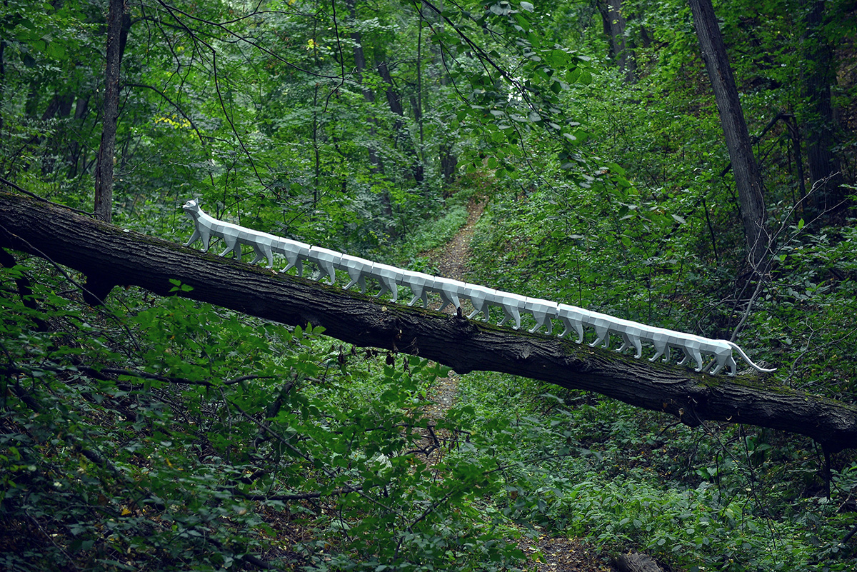 paper cat walking in the woods 🌱🌿🐈‍⬛🍀🎋

#catipede #multinft #nft #nftart #nftcollector #opensea #papercraft
